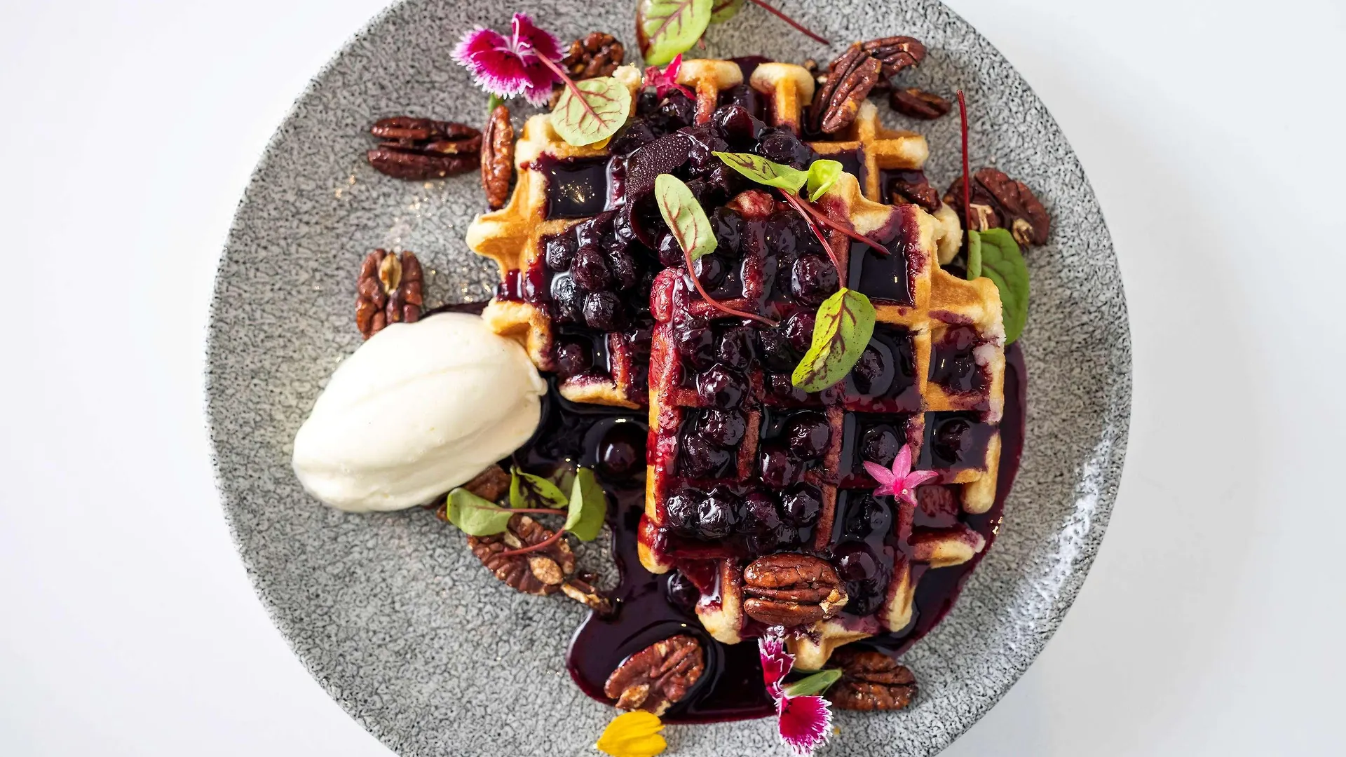 Sofitel Noosa Pacific Resort Hotel Noosa Heads